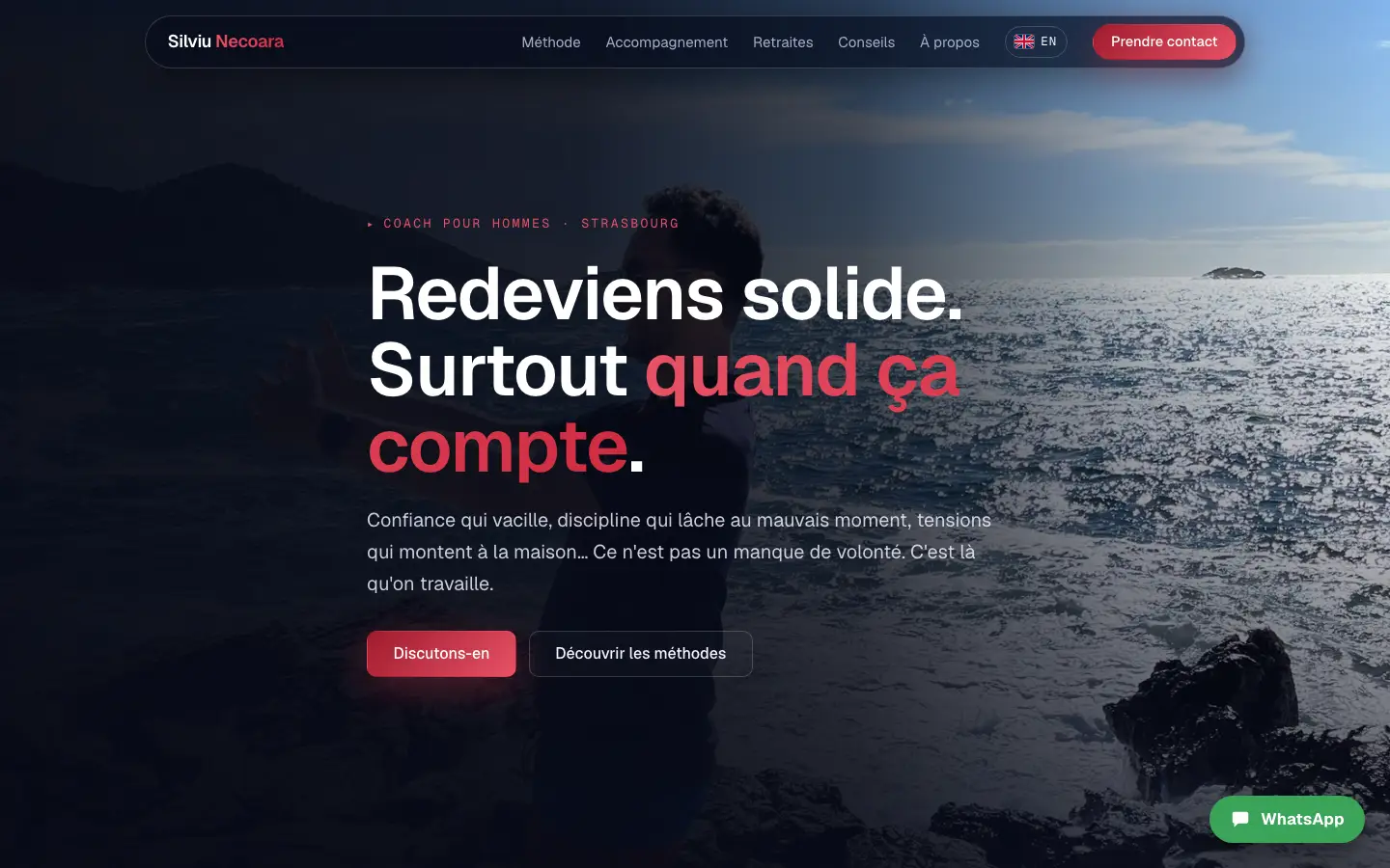 Aperçu du site Silviu Necoara